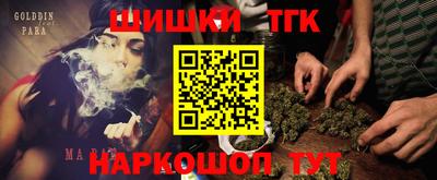 мдпв Обь