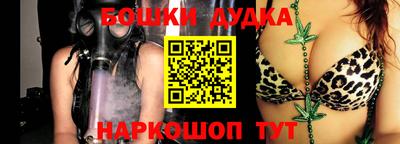 мдпв Обь