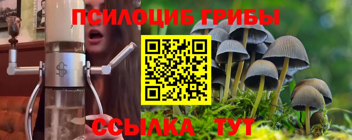 Татарск  Псилоцибиновые грибы Magic Shrooms  где купить   Вход с VPN 