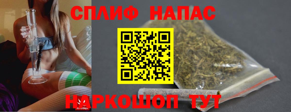 Конопля сатива Татарск