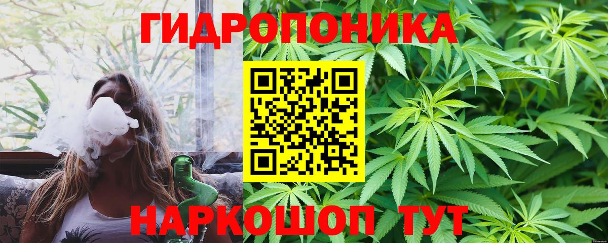 Марихуана Bruce Banner  Вход с VPN  Шишки марихуана Bruce Banner  Конопля сатива  Татарск  Марихуана планчик 
